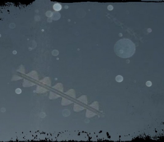 Rods: ¿Seres de otra dimensión suspendidos en la atmósfera?