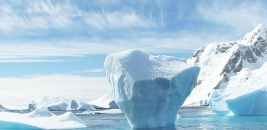 Save the Artic, la gran victoria ecologista Save the Artic, la gran victoria ecologista