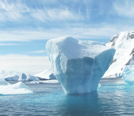 Save the Artic, la gran victoria ecologista