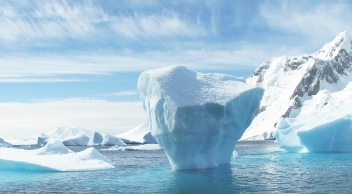 Save the Artic, la gran victoria ecologista
