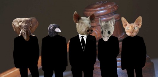 Animales a juicio: ¡los casos más delirantes! Quién "hizo el dedo" por primera vez y ¡MÁS gestos!