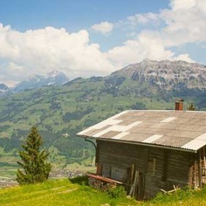 Una casita en el campo, ¡es adorable!