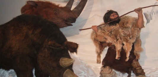 ¡Descubren cómo era el color de los mamíferos prehistóricos! Descubren cómo era el color de los mamíferos prehistóricos!