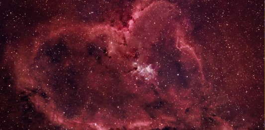 ¿Quién posee el corazón más grande del mundo?