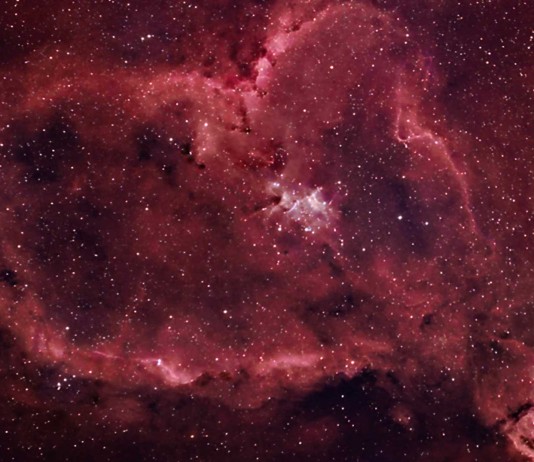 ¿Quién posee el corazón más grande del mundo?