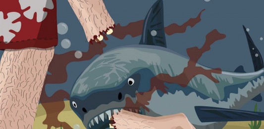 Razones por las que no te comerá un tiburón