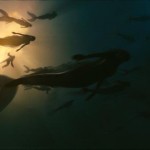 5 cosas que no sabías sobre las sirenas