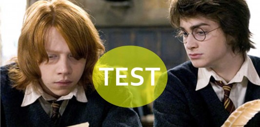 TEST: ¿Eres un experto en Harry Potter?