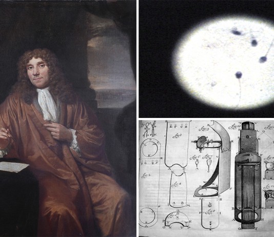 El "supercurioso" que descubrió los espermatozoides