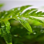 4 cosas que sólo sabemos los que adoramos los días de lluvia