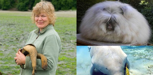 ¿Qué animal es ese? ¡No es tarde para conocerlo!