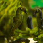 datos felices del mundo. Supercurioso.