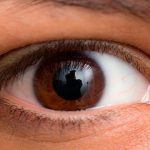 curiosidades de los ojos, ojos color café