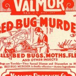 ¿De dónde vienen las chinches?