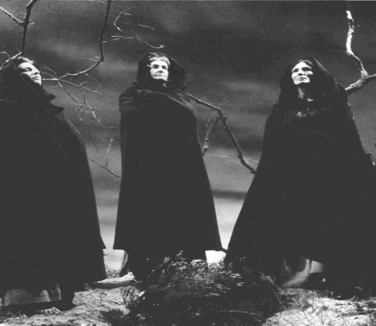 Estramonio, el placer secreto de las Brujas en la antigüedad