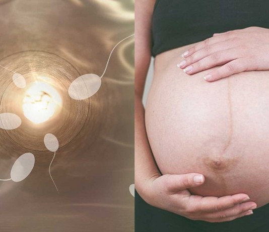 Fertilidad: ¿relaciones más seguidas o programadas? Fertilidad: ¿relaciones más seguidas o programadas?