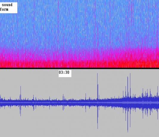 6 sonidos supercuriosos que continúan sin explicación