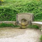 fuente reniega