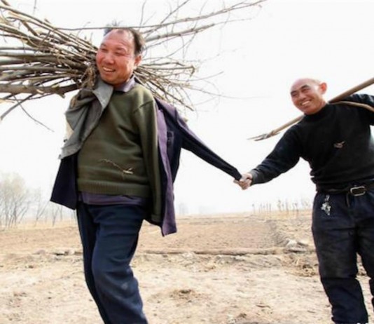 La historia del hombre ciego y el hombre sin brazos que han plantado más de 10.000 árboles