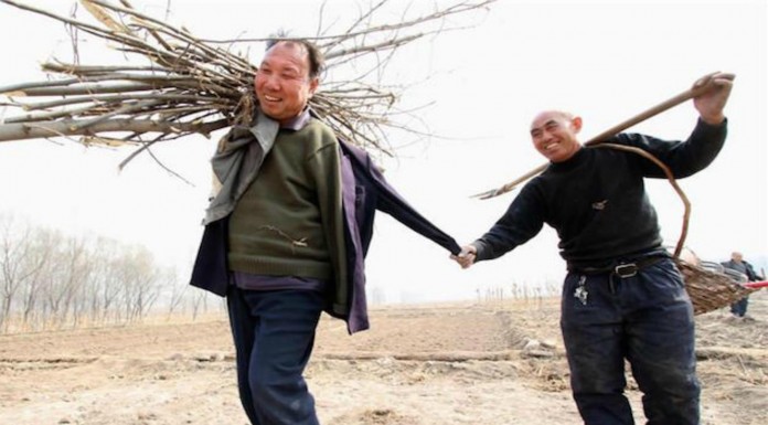 La historia del hombre ciego y el hombre sin brazos que han plantado más de 10.000 árboles