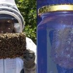 Cuando la miel se volvió AZUL