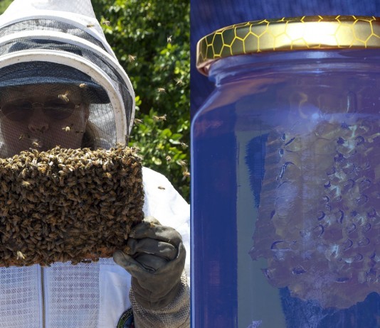 Cuando la miel se volvió AZUL