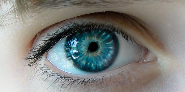 ojos datos, curiosidades de los ojos