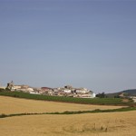 ruta