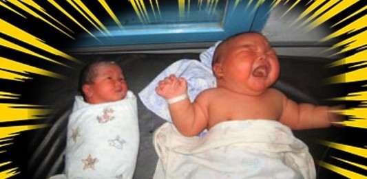 Bebés gigantes . ¡Ternura a lo grande! - Supercurioso.com