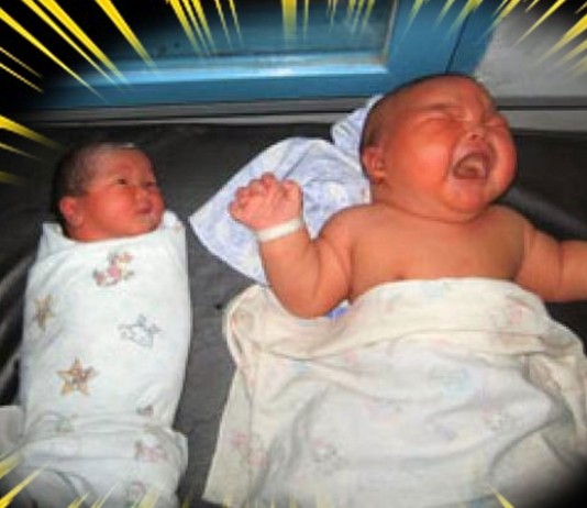 Bebés gigantes . ¡Ternura a lo grande! - Supercurioso.com