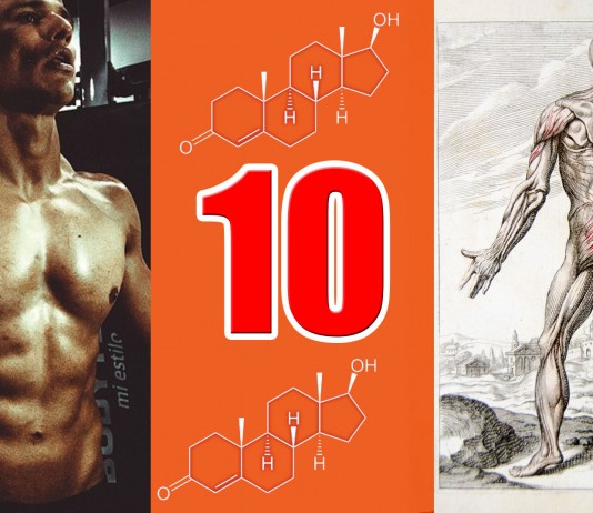 10 cosas que no sabías de la testosterona 10 cosas que no sabías de la testosterona