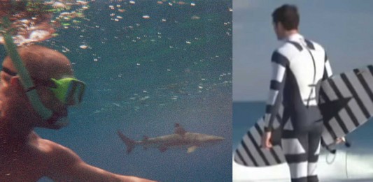 ¡Un estampado que protege de los tiburones! ¡Un estampado que protege de los tiburones!