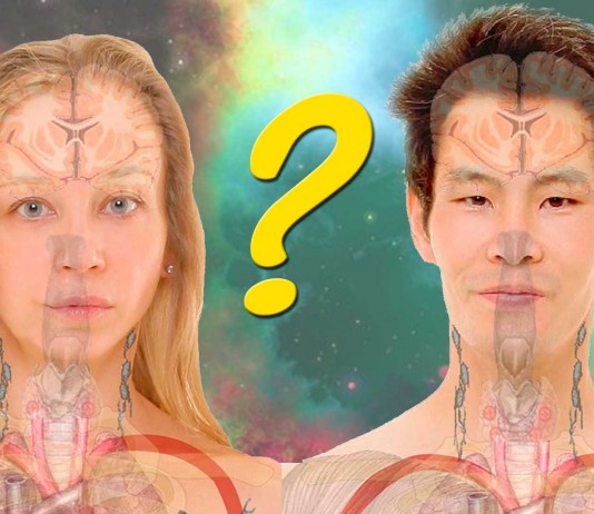 ¿Hay cerebros masculinos y femeninos? Hay cerebros masculinos y femeninos?