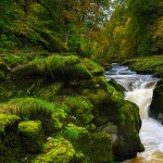 arroyo de bolton