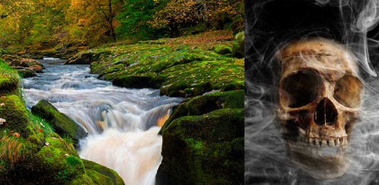 Si nadas en este arroyo DESAPARECERÁS