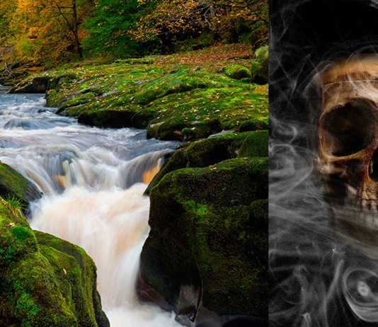 Si nadas en este arroyo DESAPARECERÁS