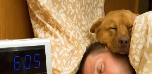 ¿Y si duermes con tu mascota? Las mascotas nos ayudan a dormir mejor