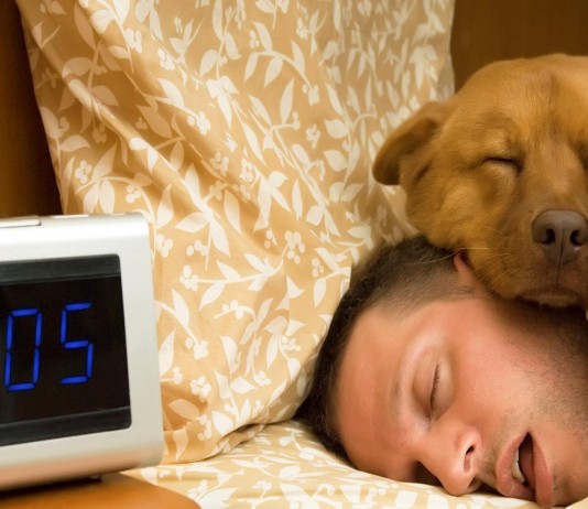 ¿Duermes con tu mascota? Entonces descubre lo que «te puede ocurrir» ¿Y si duermes con tu mascota? Las mascotas nos ayudan a dormir mejor