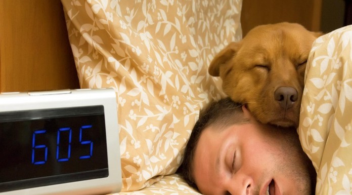 ¿Y si duermes con tu mascota? Las mascotas nos ayudan a dormir mejor