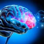 efectos-del-estres-en-el-cerebro