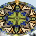 La magia de los suncatcher o cristales «atrapa luz»