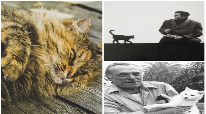 8 escritores famosos y sus famosos gatos