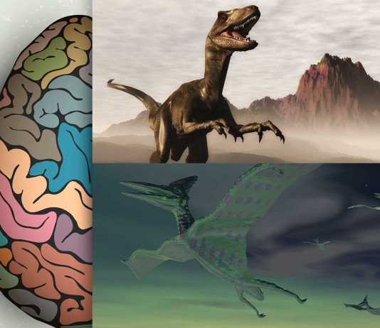 ¿Cuán INTELIGENTES eran los dinosaurios? ¿Cuán INTELIGENTES eran los dinosaurios?