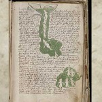 manuscrito voynich