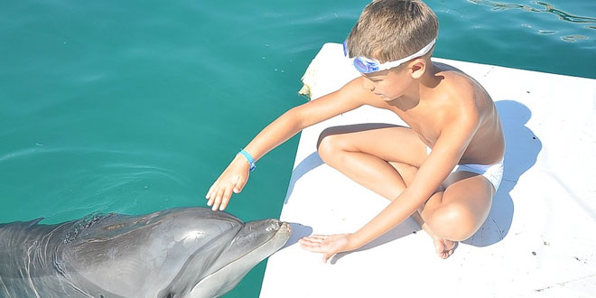 niño con delfín