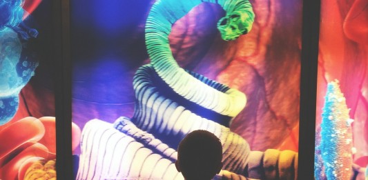 La historia del hombre que murió de un cáncer “no humano”