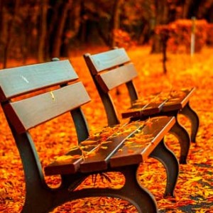 Parque