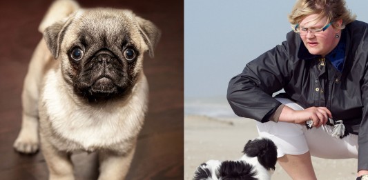 Este invento ¡traduce a tu perro!