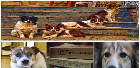 Los perros, los mejores amigos de los escritores