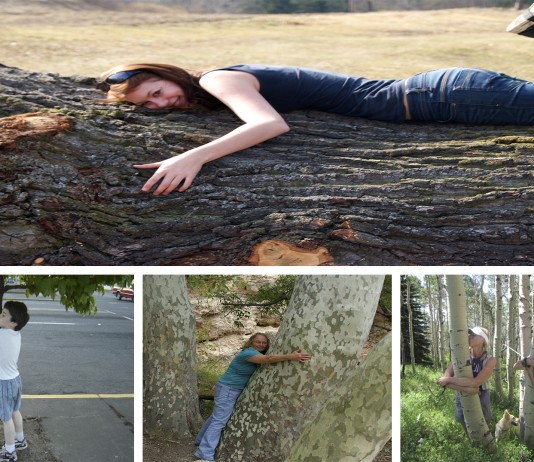 Abrazar árboles podría ser bueno para tu salud?